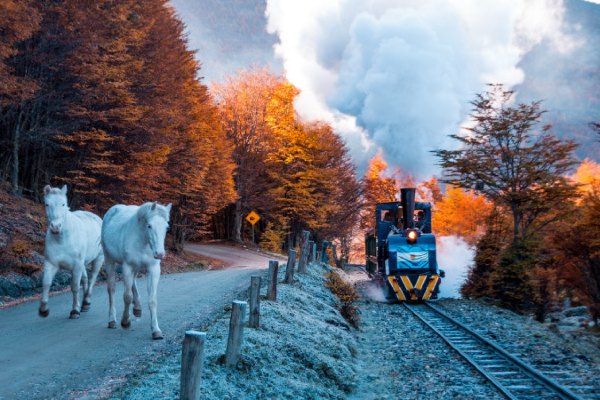 Tren del fin del mundo recorrido