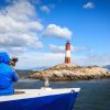 excursion por canal beagle