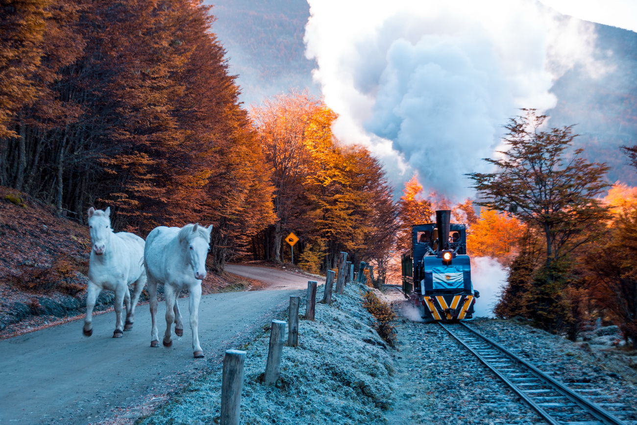 Excursion al Parque Nacional Tierra del Fuego