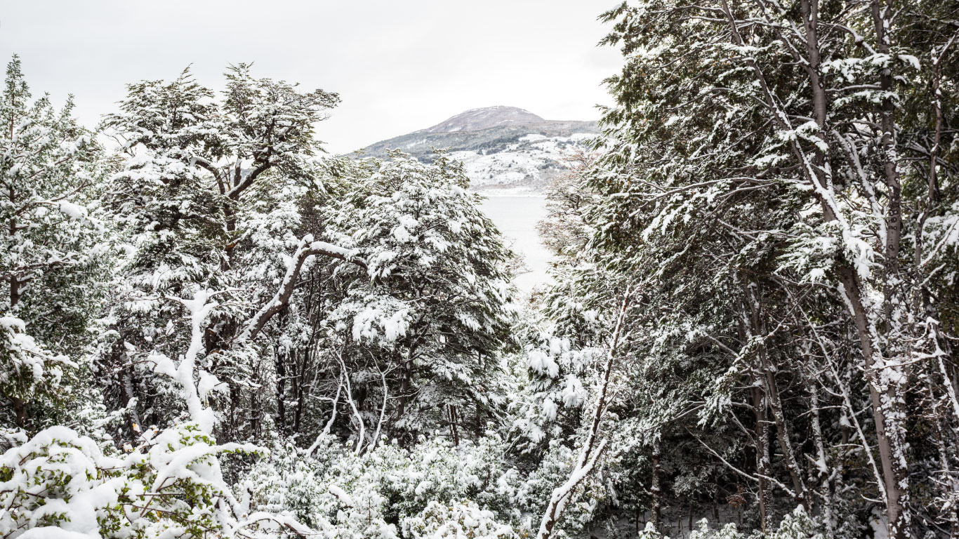 Excursión Parque Nacional Tierra del Fuego invierno