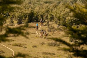 Excursiones a caballo Ushuaia