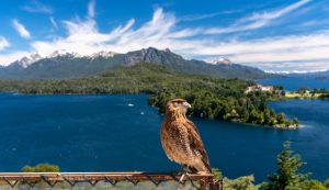 ¿Qué hacer en la Patagonia Argentina?