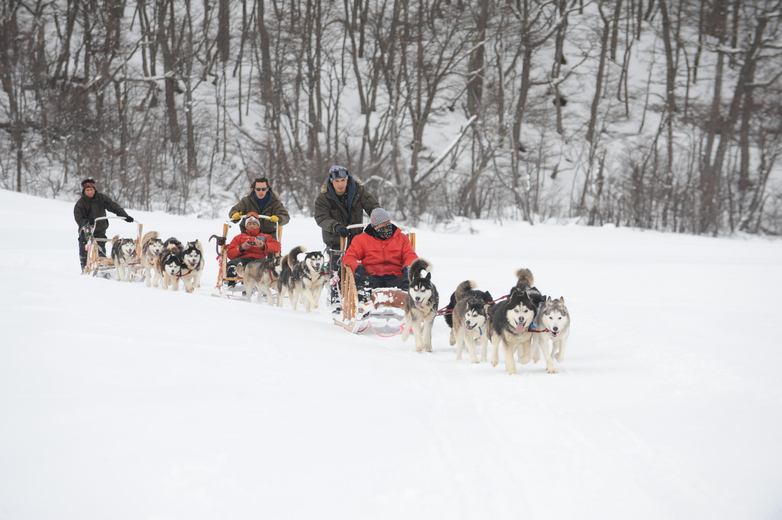 excursion en invierno con huskies